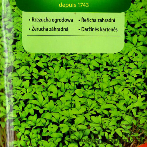 Vilmorin CLASSIC Žerucha záhradná 10 g