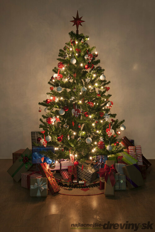 Živý vianočný stromček predaj