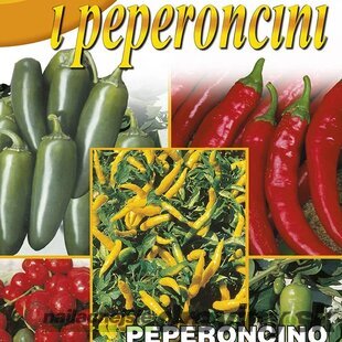 Chilli - Zmes chilli paprík - semená