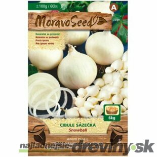 Cibuľa sádzačka SNOWBALL biela karta 100g, 8-16mm