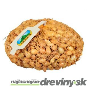 Cibuľa sadzačka VŠETANA 250g, 8-16mm