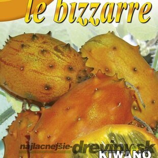 KIWANO - semená