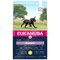 Krmivo EUKANUBA Puppy Large & Giant 3k