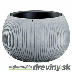 Kvetináč BETON Bowl, 29/19x20 cm, sivý