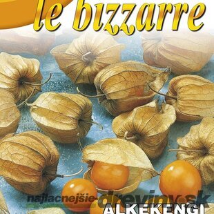 Machovka - Physalis peruviana