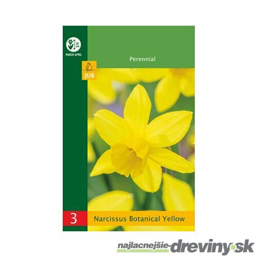 Narcis žltý, balenie 3 ks NARCISSUS YELLOW