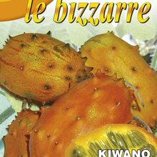 Semená kiwano