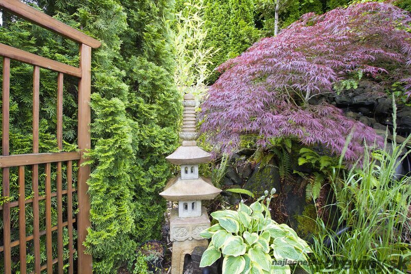 Tradičné japonské rastliny pre zenovú záhradu