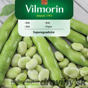 Vilmorin Bôb Superguadulce 40 g