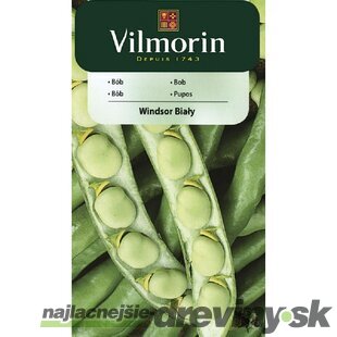 Vilmorin Bôb Windsor 40 g