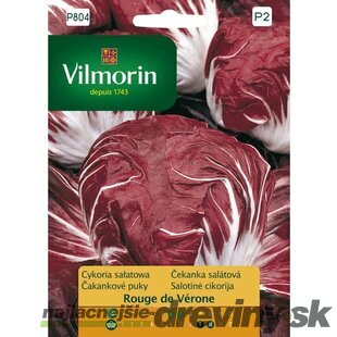 Vilmorin Čakanka šalátová Rouge de Vérone 0,5 g