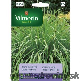 Vilmorin Citrónová tráva 0.5 g