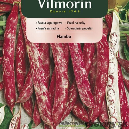 Vilmorin CLASSIC Fazuľa záhradná FLAMBO skorá 30 g