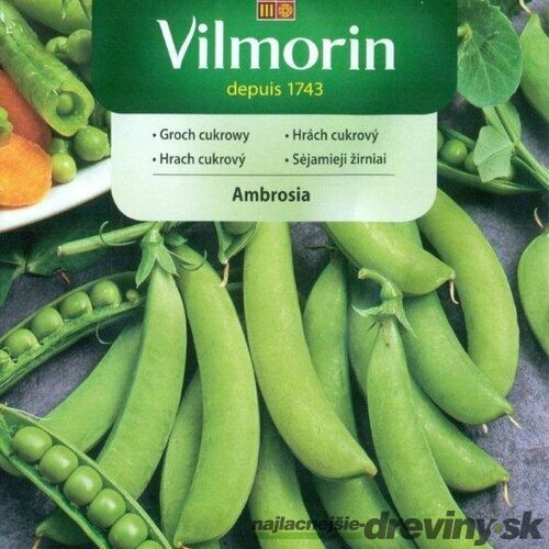 Vilmorin CLASSIC Hrach cukrový AMBROSIA skorý 40 g