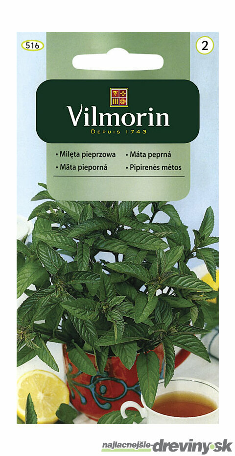 Vilmorin CLASSIC Mäta Prieporná 0,1 g