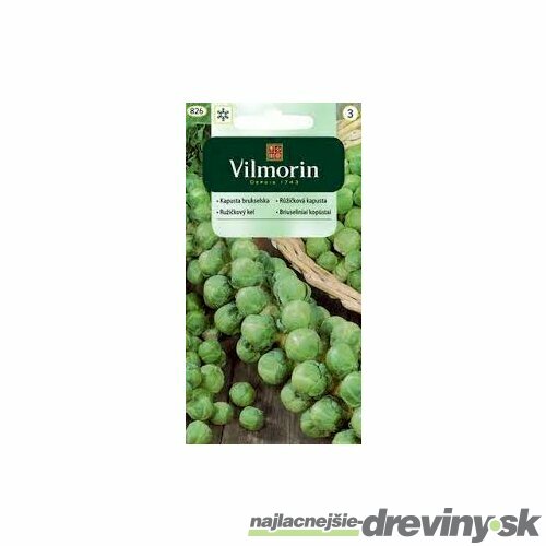 Vilmorin CLASSIC Ružičkový kel GRONINGER skorý 2 g