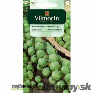 Vilmorin CLASSIC Ružičkový kel GRONINGER skorý 2 g