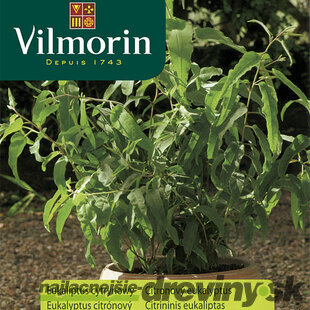 Vilmorin Eukalyptus citrónový semiačka 0,2 g