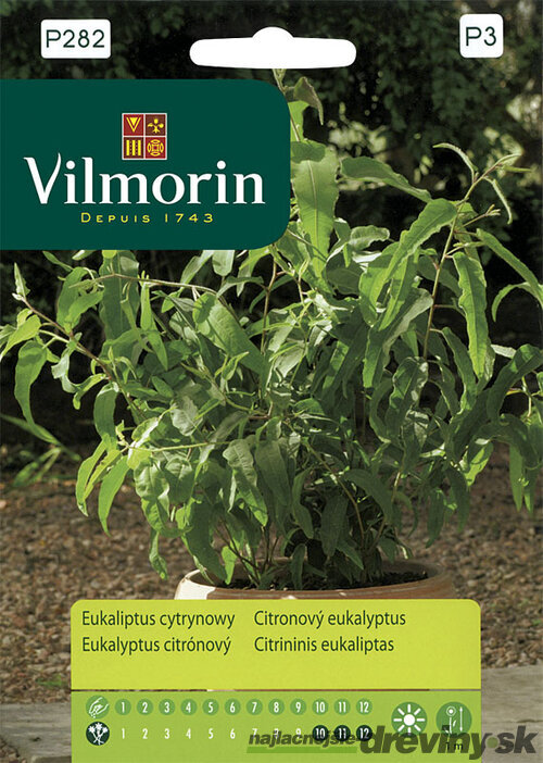 Vilmorin Eukalyptus citrónový semiačka 0,2 g