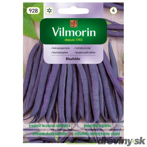 Vilmorin Fazuľka Blauhilde stredne skorá 10 g