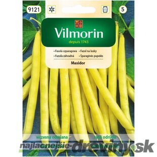 Vilmorin Fazuľka Maxidor skorá 30 g