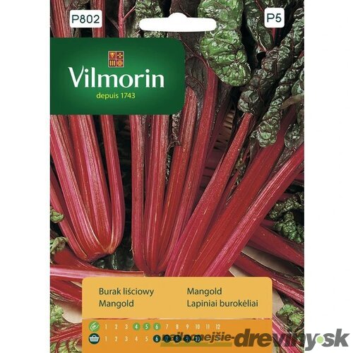 Vilmorin Mangold červenolistý red leaved 10 g