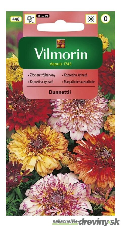 Vilmorin Margarétka Dunnettii mix semiačka