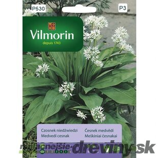 Vilmorin medvedí cesnak 0.4 g