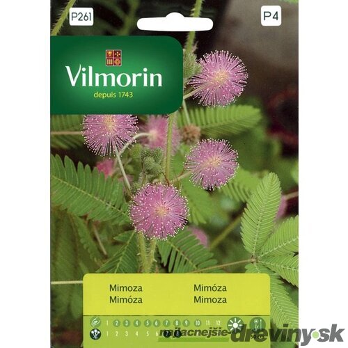 Vilmorin Mimóza semiačka 0.8 g