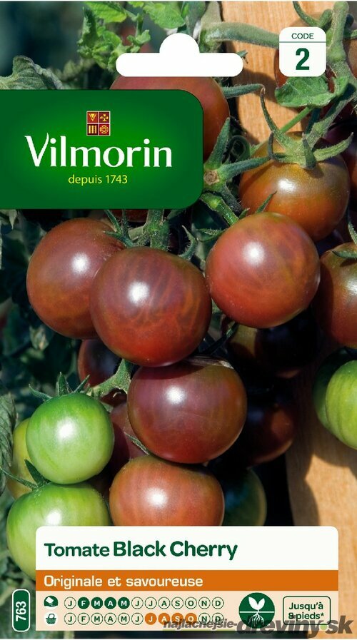 Vilmorin PREMIUM Rajčiak zemný vysoký BLACK CHERRY 0,2 g