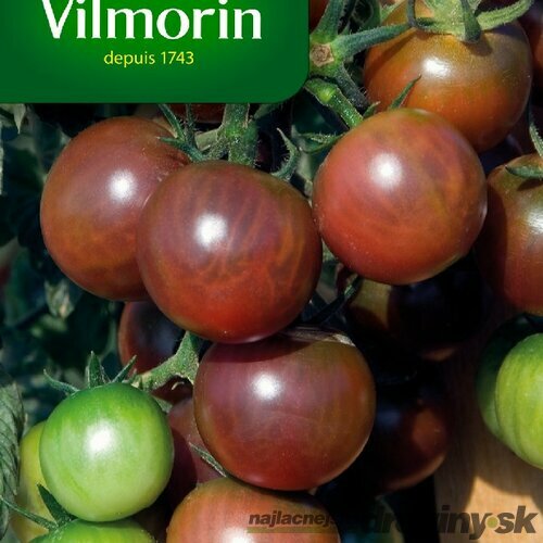 Vilmorin PREMIUM Rajčiak zemný vysoký BLACK CHERRY 0,2 g