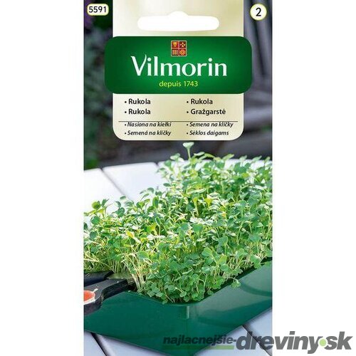 Vilmorin Rukola - semená na klíčky 10 g