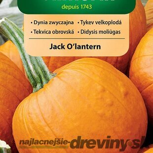 Vilmorin tekvica obrovská Jack O’lantern (Halloween) 2 g